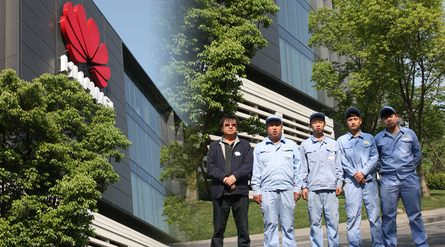 huawei_1.jpg