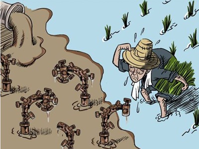 我国土壤有哪些危害.jpg